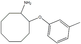 2-(3-methylphenoxy)cyclooctan-1-amine Struktur
