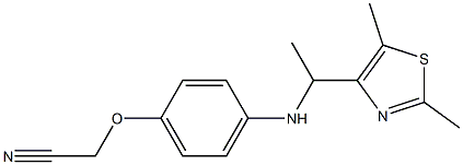 2-(4-{[1-(2,5-dimethyl-1,3-thiazol-4-yl)ethyl]amino}phenoxy)acetonitrile|