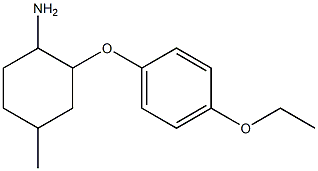 2-(4-ethoxyphenoxy)-4-methylcyclohexanamine 化学構造式