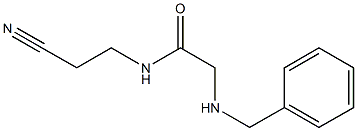 2-(benzylamino)-N-(2-cyanoethyl)acetamide|