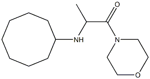 2-(cyclooctylamino)-1-(morpholin-4-yl)propan-1-one Struktur