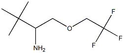  2,2-dimethyl-1-[(2,2,2-trifluoroethoxy)methyl]propylamine