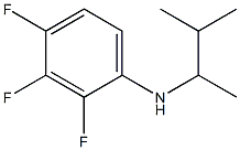 2,3,4-trifluoro-N-(3-methylbutan-2-yl)aniline