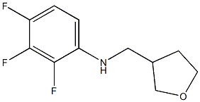 2,3,4-trifluoro-N-(oxolan-3-ylmethyl)aniline,,结构式