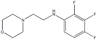 2,3,4-trifluoro-N-[2-(morpholin-4-yl)ethyl]aniline