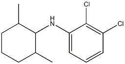 2,3-dichloro-N-(2,6-dimethylcyclohexyl)aniline,,结构式