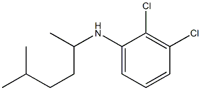 2,3-dichloro-N-(5-methylhexan-2-yl)aniline