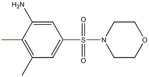 2,3-dimethyl-5-(morpholine-4-sulfonyl)aniline 化学構造式