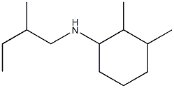  2,3-dimethyl-N-(2-methylbutyl)cyclohexan-1-amine