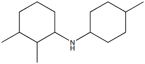 2,3-dimethyl-N-(4-methylcyclohexyl)cyclohexan-1-amine 化学構造式