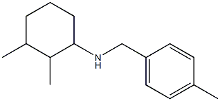 2,3-dimethyl-N-[(4-methylphenyl)methyl]cyclohexan-1-amine 化学構造式