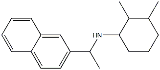 2,3-dimethyl-N-[1-(naphthalen-2-yl)ethyl]cyclohexan-1-amine 结构式