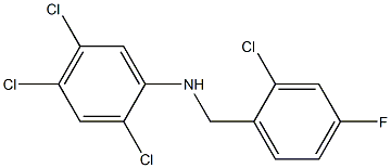 2,4,5-trichloro-N-[(2-chloro-4-fluorophenyl)methyl]aniline|