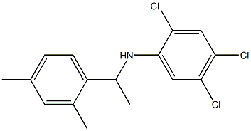 2,4,5-trichloro-N-[1-(2,4-dimethylphenyl)ethyl]aniline