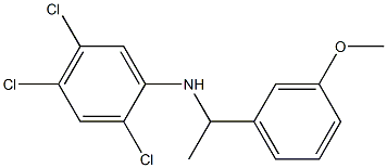 2,4,5-trichloro-N-[1-(3-methoxyphenyl)ethyl]aniline 化学構造式