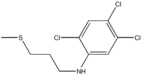 2,4,5-trichloro-N-[3-(methylsulfanyl)propyl]aniline Structure