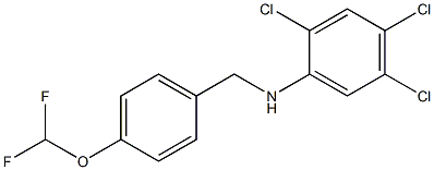 2,4,5-trichloro-N-{[4-(difluoromethoxy)phenyl]methyl}aniline