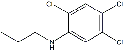 2,4,5-trichloro-N-propylaniline