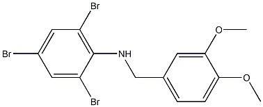 2,4,6-tribromo-N-[(3,4-dimethoxyphenyl)methyl]aniline Structure