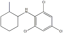 2,4,6-trichloro-N-(2-methylcyclohexyl)aniline,,结构式