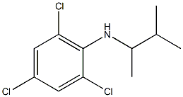  2,4,6-trichloro-N-(3-methylbutan-2-yl)aniline