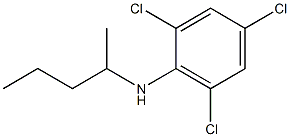 2,4,6-trichloro-N-(pentan-2-yl)aniline 化学構造式