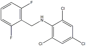 2,4,6-trichloro-N-[(2,6-difluorophenyl)methyl]aniline