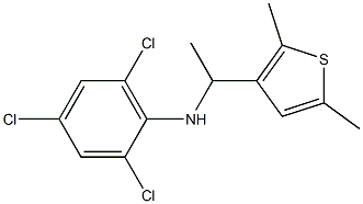 2,4,6-trichloro-N-[1-(2,5-dimethylthiophen-3-yl)ethyl]aniline|