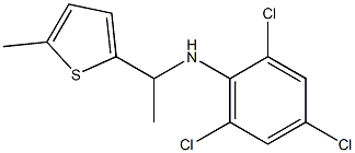 2,4,6-trichloro-N-[1-(5-methylthiophen-2-yl)ethyl]aniline