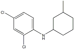 2,4-dichloro-N-(3-methylcyclohexyl)aniline Structure
