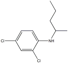 2,4-dichloro-N-(pentan-2-yl)aniline 结构式