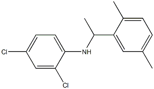 2,4-dichloro-N-[1-(2,5-dimethylphenyl)ethyl]aniline Structure