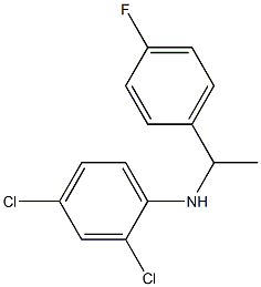2,4-dichloro-N-[1-(4-fluorophenyl)ethyl]aniline 化学構造式