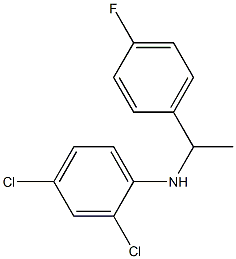 2,4-dichloro-N-[1-(4-fluorophenyl)ethyl]aniline|