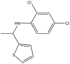 2,4-dichloro-N-[1-(thiophen-2-yl)ethyl]aniline Structure