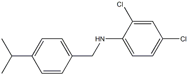 2,4-dichloro-N-{[4-(propan-2-yl)phenyl]methyl}aniline 结构式