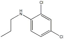 2,4-dichloro-N-propylaniline 化学構造式