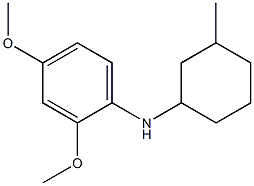 2,4-dimethoxy-N-(3-methylcyclohexyl)aniline Struktur
