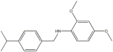 2,4-dimethoxy-N-{[4-(propan-2-yl)phenyl]methyl}aniline 化学構造式