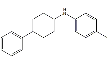 2,4-dimethyl-N-(4-phenylcyclohexyl)aniline Structure