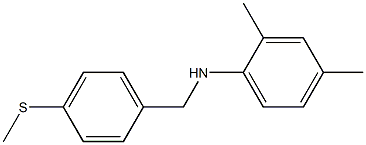 2,4-dimethyl-N-{[4-(methylsulfanyl)phenyl]methyl}aniline|