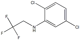 2,5-dichloro-N-(2,2,2-trifluoroethyl)aniline,,结构式