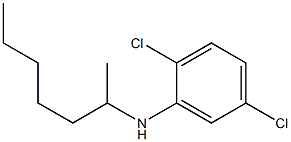 2,5-dichloro-N-(heptan-2-yl)aniline 化学構造式