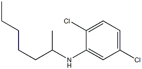 2,5-dichloro-N-(heptan-2-yl)aniline 结构式