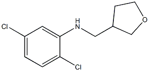 2,5-dichloro-N-(oxolan-3-ylmethyl)aniline 化学構造式
