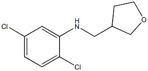 2,5-dichloro-N-(oxolan-3-ylmethyl)aniline Structure