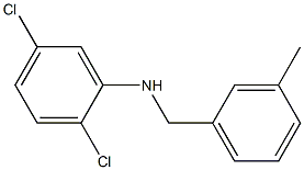 2,5-dichloro-N-[(3-methylphenyl)methyl]aniline Structure