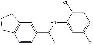 2,5-dichloro-N-[1-(2,3-dihydro-1H-inden-5-yl)ethyl]aniline Structure