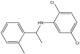 2,5-dichloro-N-[1-(2-methylphenyl)ethyl]aniline Struktur