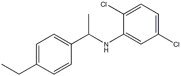 2,5-dichloro-N-[1-(4-ethylphenyl)ethyl]aniline Structure